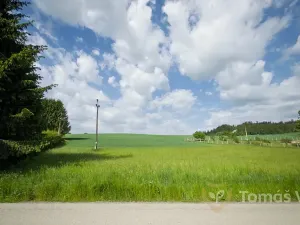 Prodej pozemku pro bydlení, Nové Město na Moravě, 2720 m2