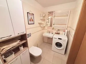 Pronájem bytu 1+kk, Praha - Nusle, V Horkách, 43 m2