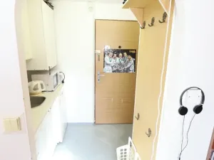 Pronájem bytu 1+kk, Praha, Formanská, 18 m2