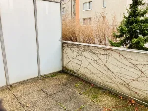 Pronájem bytu 1+kk, Praha, Počernická, 35 m2