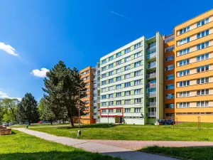 Prodej bytu 2+1, Pelhřimov, Osvobození, 60 m2