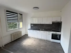 Prodej bytu 3+1, Bílina, Čapkova, 54 m2