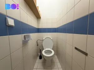 Prodej bytu 2+kk, Brno, Cejl, 32 m2