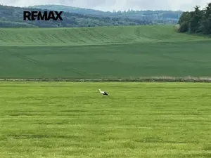 Prodej rodinného domu, Chocenice, 83 m2
