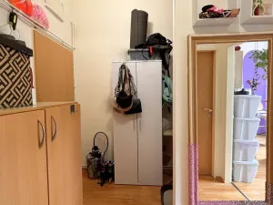 Pronájem bytu 1+kk, Olomouc, Krapkova, 28 m2