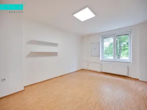 Pronájem bytu 1+kk, Olomouc - Nová Ulice, tř. Míru, 24 m2