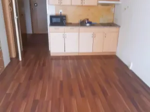 Prodej bytu 1+kk, České Budějovice - České Budějovice 2, Dlouhá, 27 m2