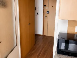 Prodej bytu 1+kk, České Budějovice - České Budějovice 2, Dlouhá, 27 m2