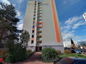 Prodej bytu 1+kk, České Budějovice - České Budějovice 2, Dlouhá, 27 m2