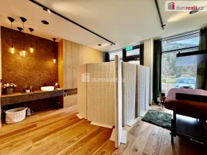 Prodej bytu 1+kk, Harrachov, 39 m2