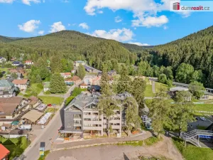 Prodej bytu 1+kk, Harrachov, 39 m2