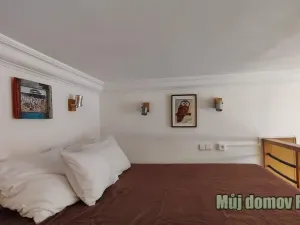Pronájem bytu 1+kk, Praha - Nové Město, Hálkova, 31 m2