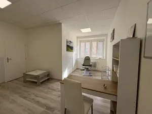 Pronájem kanceláře, Zábřeh, Žižkova, 25 m2