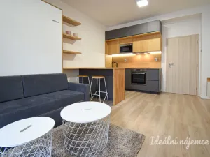 Pronájem bytu 1+kk, Brno - Zábrdovice, Přadlácká, 28 m2