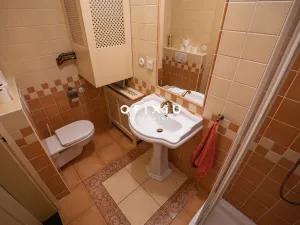 Prodej bytu 5+kk, Brno, Nerudova, 287 m2