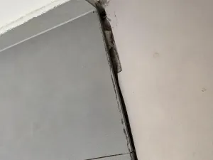Prodej bytu 1+kk, Prostějov, Žižkovo nám., 30 m2