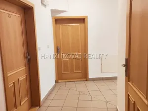 Pronájem bytu 1+kk, České Budějovice - České Budějovice 3, Riegrova, 30 m2