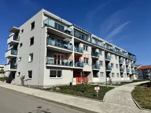 Pronájem bytu 1+kk, Hustopeče, Alejní, 30 m2