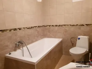 Pronájem bytu 1+kk, Ústí nad Labem, Londýnská, 52 m2