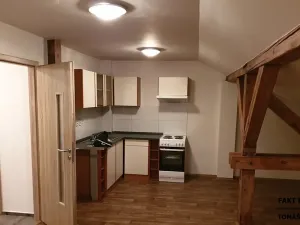 Pronájem bytu 1+kk, Ústí nad Labem, Londýnská, 52 m2