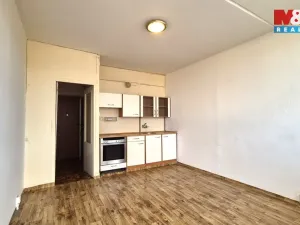 Pronájem bytu 1+kk, Most, M. G. Dobnera, 22 m2