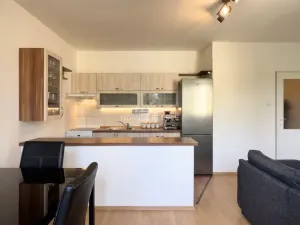 Pronájem bytu 2+kk, České Budějovice - České Budějovice 3, Riegrova, 41 m2