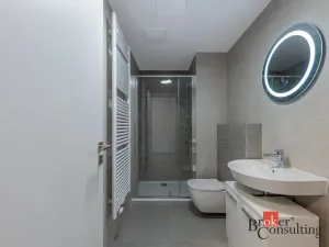 Pronájem bytu 1+kk, Plzeň - Východní Předměstí, Zahradní, 40 m2