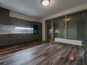 Pronájem bytu 1+kk, Plzeň - Východní Předměstí, Zahradní, 40 m2