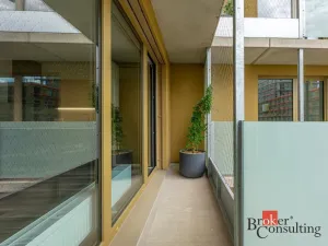Pronájem bytu 1+kk, Plzeň - Východní Předměstí, Zahradní, 40 m2