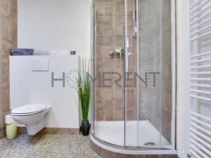 Pronájem bytu 1+kk, Praha - Nusle, Sekaninova, 35 m2