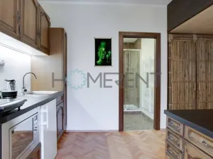 Pronájem bytu 1+kk, Praha - Nusle, Sekaninova, 35 m2