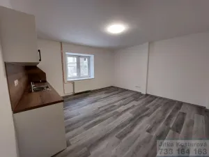 Pronájem bytu 1+kk, Krnov - Pod Cvilínem, Textilní, 34 m2