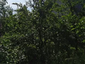 Prodej pozemku, Brumovice, 500 m2