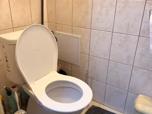 Prodej bytu 3+1, Prostějov, Žižkovo nám., 122 m2