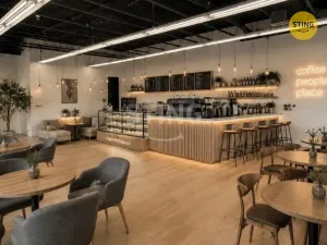 Pronájem obchodního prostoru, Třinec, nám. Svobody, 182 m2