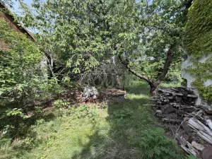 Prodej zemědělské usedlosti, Lužice, 118 m2