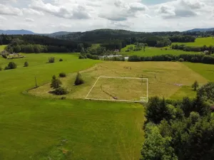 Prodej pozemku pro bydlení, Česká Kubice - Starý Spálenec, 2459 m2