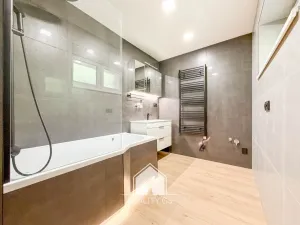 Pronájem bytu 2+kk, Ústí nad Labem, Mezidomí, 52 m2