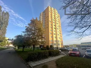 Prodej bytu 2+1, Tachov, Zárečná, 53 m2