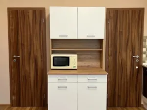 Pronájem bytu 1+kk, Praha - Strašnice, Na stezce, 30 m2
