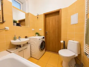 Pronájem bytu 2+kk, Brno, Rybářská, 49 m2
