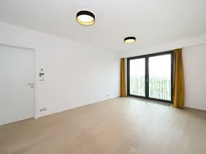 Pronájem bytu 4+kk, Praha - Žižkov, Olšanská, 120 m2
