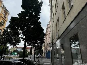 Pronájem bytu 4+kk, Praha - Vinohrady, Řipská, 135 m2