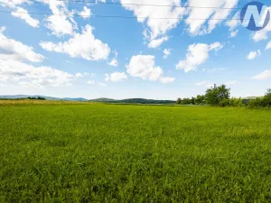 Prodej pozemku pro bydlení, Brloh - Rojšín, 1291 m2