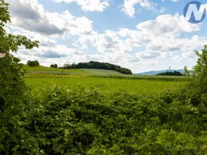 Prodej pozemku pro bydlení, Brloh - Rojšín, 1291 m2