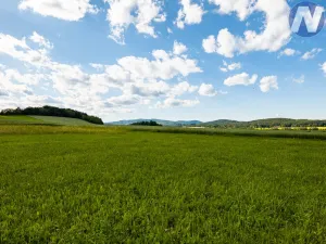 Prodej pozemku pro bydlení, Brloh - Rojšín, 1291 m2