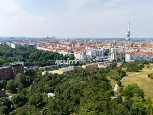 Prodej bytu 3+kk, Praha - Vinohrady, Jičínská, 99 m2