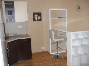 Pronájem bytu 1+kk, Praha - Vinohrady, Korunní, 45 m2