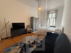 Pronájem bytu 1+1, Praha - Nové Město, Petrská, 37 m2