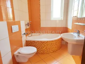 Pronájem bytu 2+kk, České Budějovice - České Budějovice 5, Dělnická, 35 m2